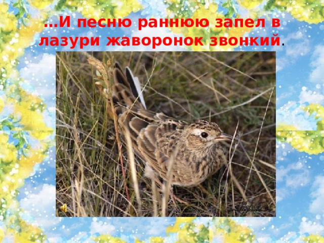 … И песню раннюю запел в лазури жаворонок звонкий . 