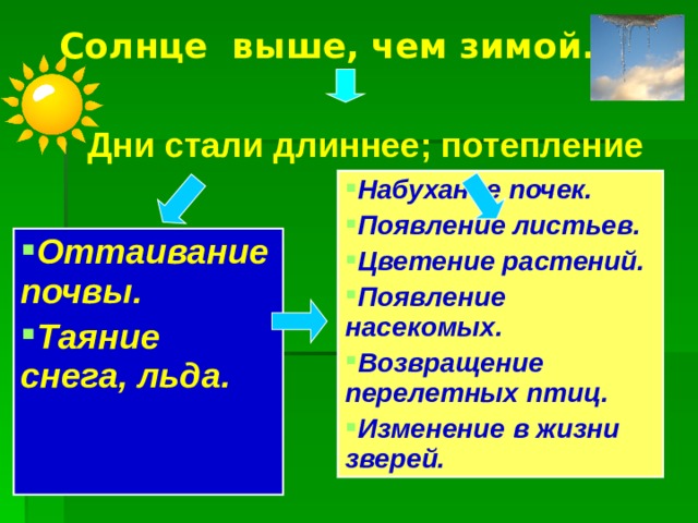 Солнце выше, чем зимой. Дни стали длиннее; потепление Набухание почек. Появление листьев. Цветение растений. Появление насекомых. Возвращение перелетных птиц. Изменение в жизни зверей. Оттаивание почвы. Таяние снега, льда. 