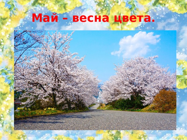 Май – весна цвета. 