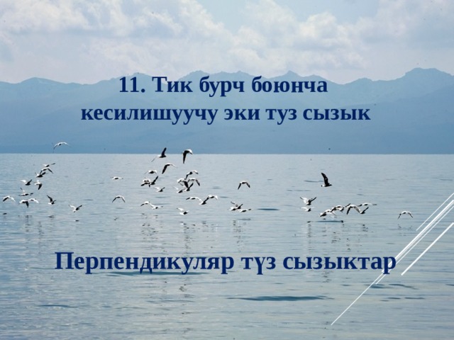 11. Тик бурч боюнча кесилишуучу эки туз сызык  Перпендикуляр түз сызыктар 