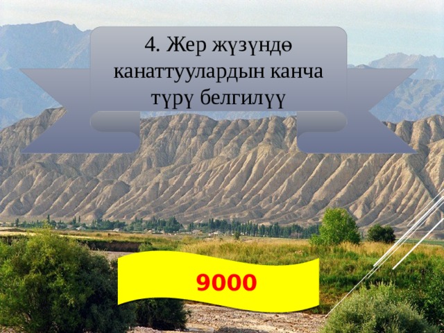 4. Жер жүзүндө канаттуулардын канча түрү белгилүү  9000 