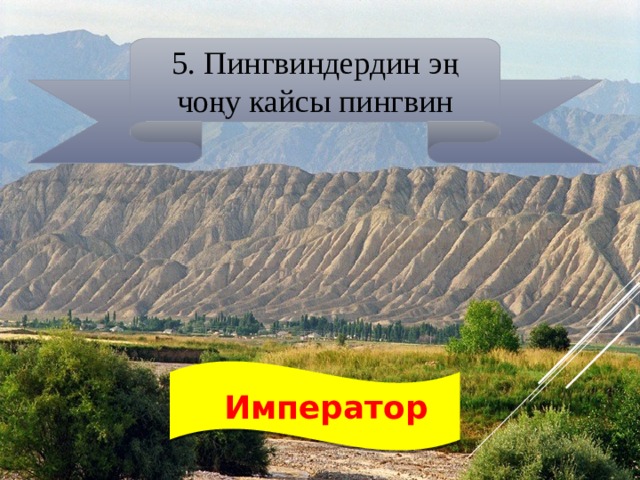 5. Пингвиндердин эң чоңу кайсы пингвин  Император 