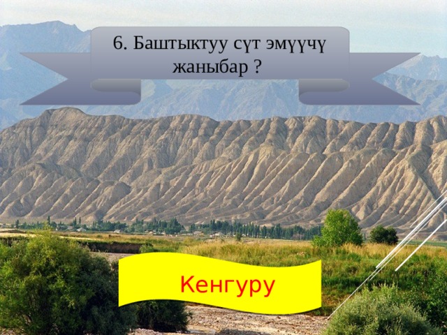 6. Баштыктуу сүт эмүүчү жаныбар ?  Кенгуру 