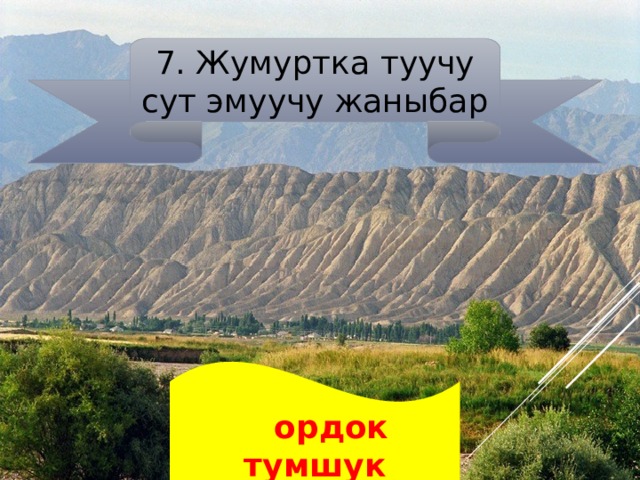 7. Жумуртка туучу сут эмуучу жаныбар   ордок тумшук 