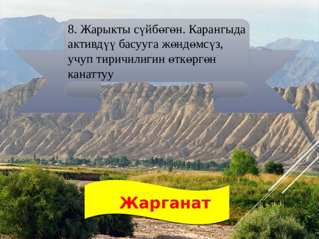 8. Жарыкты сүйбөгөн. Карангыда активдүү басууга жөндөмсүз, учуп тиричилигин өткөргөн канаттуу   Жарганат 