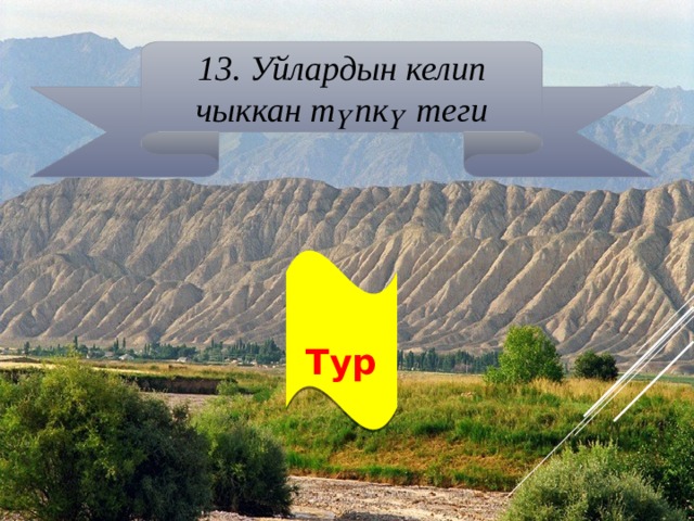 13. Уйлардын келип чыккан түпкү теги  Тур 