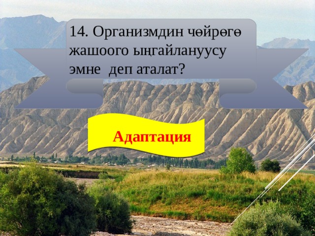 14. Организмдин чөйрөгө жашоого ыңгайлануусу эмне деп аталат?  Адаптация 