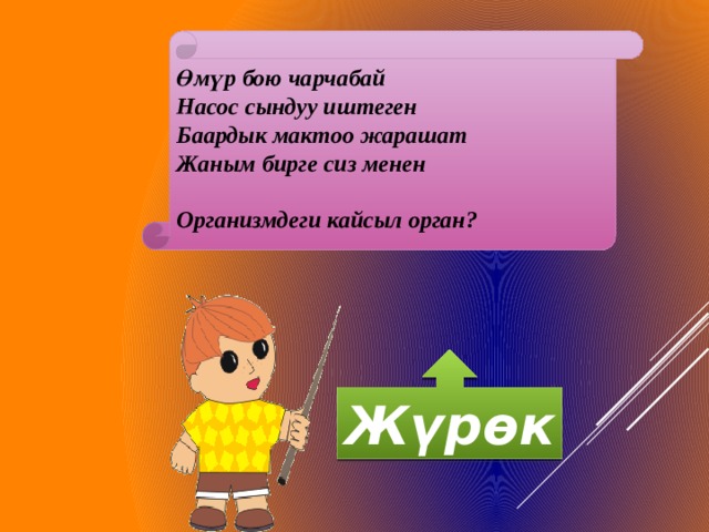 Өмүр бою чарчабай Насос сындуу иштеген Баардык мактоо жарашат Жаным бирге сиз менен  Организмдеги кайсыл орган? Жүрөк 