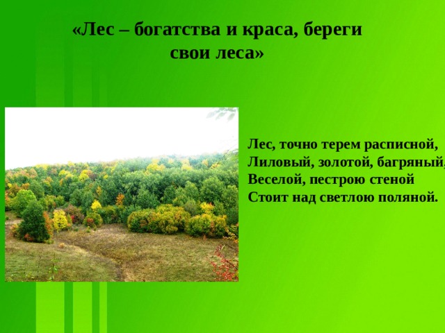 «Лес – богатства и краса, береги свои леса»  Лес, точно терем расписной,  Лиловый, золотой, багряный,  Веселой, пестрою стеной  Стоит над светлою поляной.    