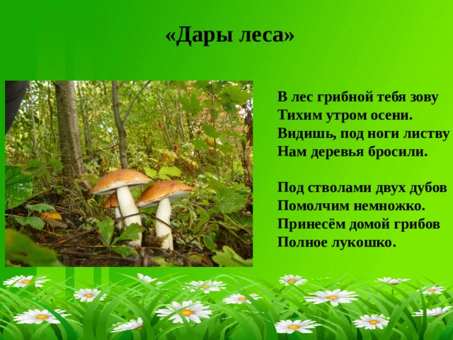 «Дары леса»  В лес грибной тебя зову  Тихим утром осени.  Видишь, под ноги листву  Нам деревья бросили.   Под стволами двух дубов  Помолчим немножко.  Принесём домой грибов  Полное лукошко.     