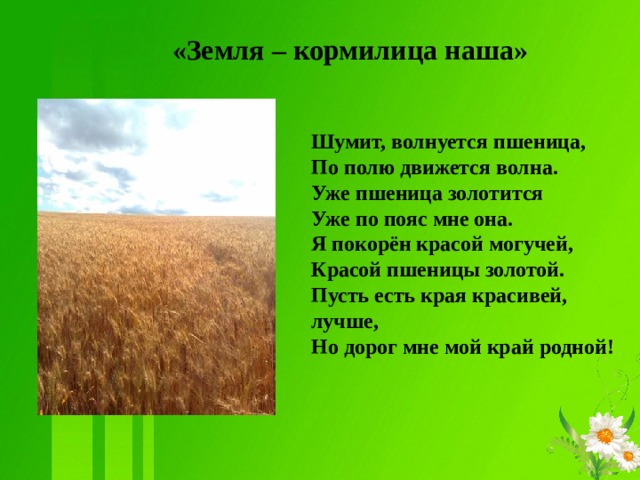 «Земля – кормилица наша»   Шумит, волнуется пшеница,  По полю движется волна.  Уже пшеница золотится  Уже по пояс мне она. Я покорён красой могучей,  Красой пшеницы золотой.  Пусть есть края красивей, лучше,  Но дорог мне мой край родной!  