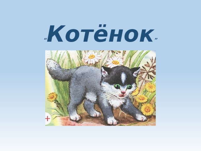 “ Котёнок ” 