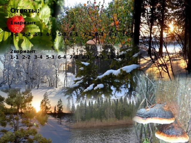 Ответы:  1вариант  1-1 2-2 3-3 4-1 5-3 6-1 7-1 8-4 9-1 10-256 2вариант 1-1 2-2 3-4 5-3 6-4 7-3 8-1 9-3 10-346 