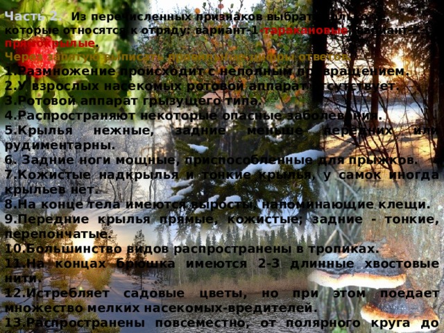 Часть 2. Из перечисленных признаков выбрать только те, которые относятся к отряду: вариант-1 -таракановые ; вариант-2- прямокрылые . Через запятую выписать правильные цифры ответов. 1.Размножение происходит с неполным превращением. 2.У взрослых насекомых ротовой аппарат отсутствует. 3.Ротовой аппарат грызущего типа. 4.Распространяют некоторые опасные заболевания. 5.Крылья нежные, задние меньше передних или рудиментарны. 6. Задние ноги мощные, приспособленные для прыжков. 7.Кожистые надкрылья и тонкие крылья, у самок иногда крыльев нет. 8.На конце тела имеются выросты, напоминающие клещи. 9.Передние крылья прямые, кожистые; задние - тонкие, перепончатые. 10.Большинство видов распространены в тропиках. 11.На концах брюшка имеются 2-3 длинные хвостовые нити. 12.Истребляет садовые цветы, но при этом поедает множество мелких насекомых-вредителей. 13.Распространены повсеместно, от полярного круга до тропиков. 