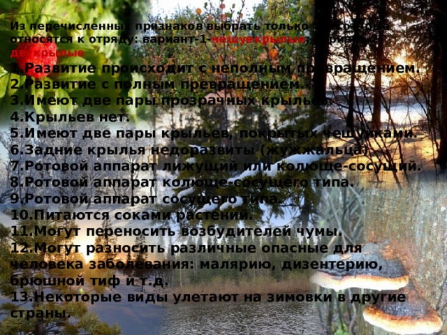 Из перечисленных признаков выбрать только те, которые относятся к отряду: вариант-1- чешуекрылые ; вариант-2- двукрылые  1.Развитие происходит с неполным превращением. 2.Развитие с полным превращением. 3.Имеют две пары прозрачных крыльев. 4.Крыльев нет. 5.Имеют две пары крыльев, покрытых чешуйками. 6.Задние крылья недоразвиты (жужжальца) 7.Ротовой аппарат лижущий или колюще-сосущий. 8.Ротовой аппарат колюще-сосущего типа. 9.Ротовой аппарат сосущего типа. 10.Питаются соками растений. 11.Могут переносить возбудителей чумы. 12.Могут разносить различные опасные для человека заболевания: малярию, дизентерию, брюшной тиф и т.д. 13.Некоторые виды улетают на зимовки в другие страны. 