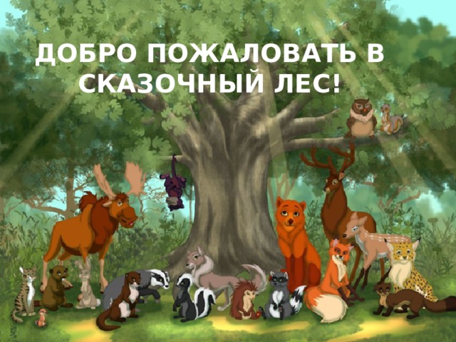 Добро пожаловать в сказочный лес! 