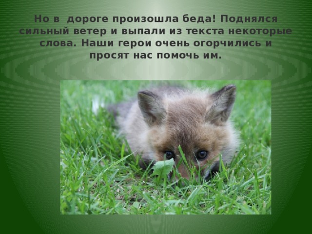 Но в  дороге произошла беда! Поднялся сильный ветер и выпали из текста некоторые слова. Наши герои очень огорчились и просят нас помочь им.   
