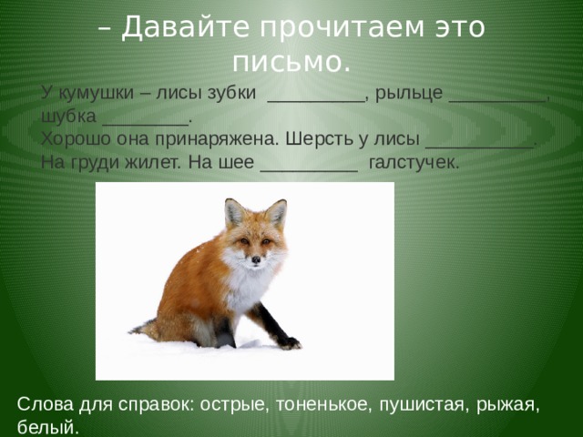 – Давайте прочитаем это письмо. У кумушки – лисы зубки  _________, рыльце _________, шубка ________.  Хорошо она принаряжена. Шерсть у лисы __________. На груди жилет. На шее _________  галстучек. Слова для справок: острые, тоненькое, пушистая, рыжая, белый. 