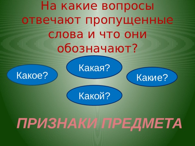 На какие вопросы отвечают пропущенные слова и что они обозначают? Какая? Какое? Какие? Какой? ПРИЗНАКИ ПРЕДМЕТА 