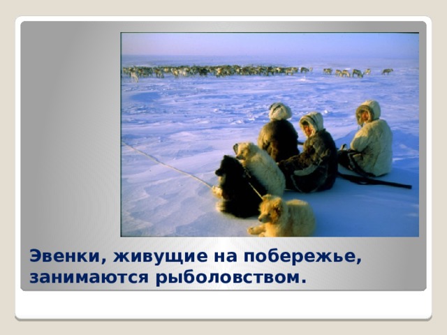 Эвенки, живущие на побережье, занимаются рыболовством. 