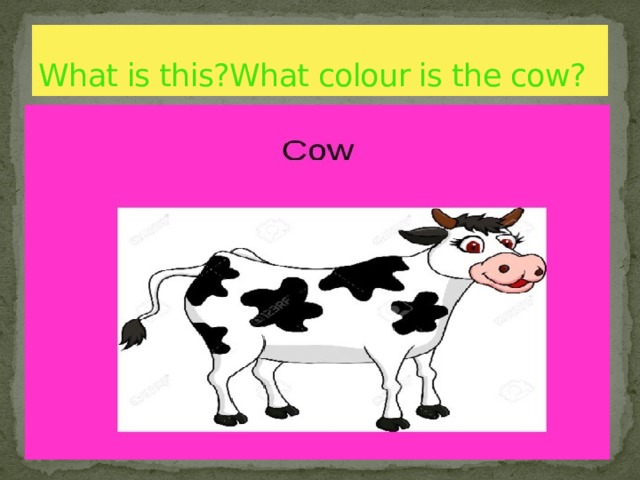 What is this?What colour is the cow? 