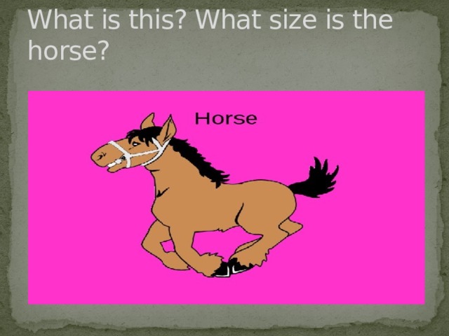 What is this? What size is the horse? 