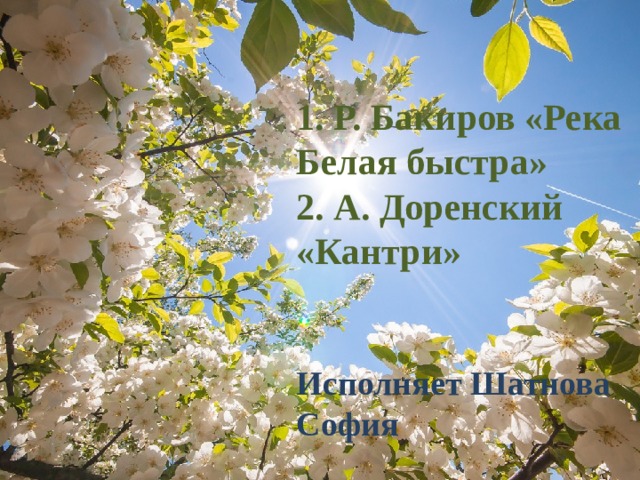  1. Р. Бакиров «Река Белая быстра»  2. А. Доренский «Кантри»    Исполняет Шатнова София 