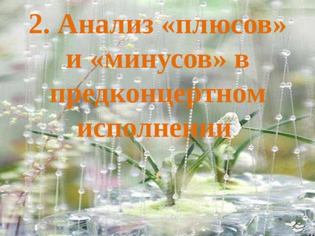 2. Анализ «плюсов» и «минусов» в предконцертном исполнении    