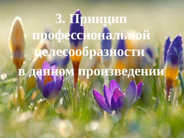 3. Принцип профессиональной целесообразности в данном произведении 