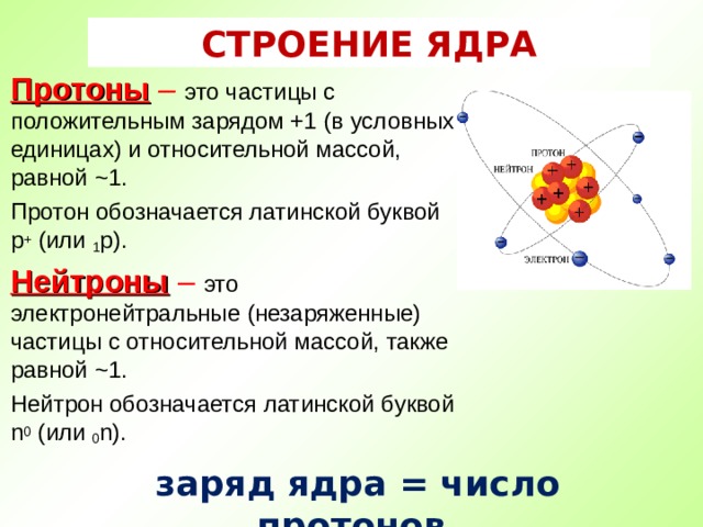СТРОЕНИЕ ЯДРА Протоны  – это частицы с положительным зарядом +1 (в условных единицах) и относительной массой, равной ~1. Протон обозначается латинской буквой p + (или 1 р). Нейтроны  – это электронейтральные (незаряженные) частицы с относительной массой, также равной ~1. Нейтрон обозначается латинской буквой n 0 ( или 0 n).  заряд ядра = число протонов 