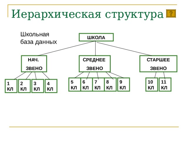Иерархическая структура Школьная база данных ШКОЛА НАЧ. ЗВЕНО СРЕДНЕЕ ЗВЕНО СТАРШЕЕ ЗВЕНО 11 КЛ 10 КЛ 5 КЛ 6 КЛ 7 КЛ 8 КЛ 9 КЛ 4 КЛ 2 КЛ 1 КЛ 3 КЛ 