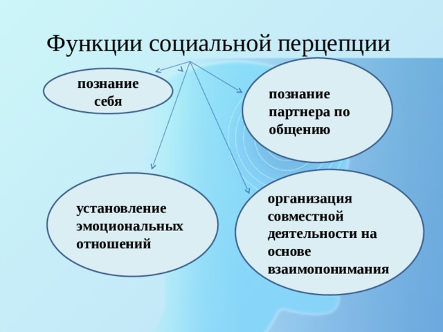 Функции социальной перцепции познание партнера по общению познание себя организация совместной деятельности на основе взаимопонимания установление эмоциональных  отношений 