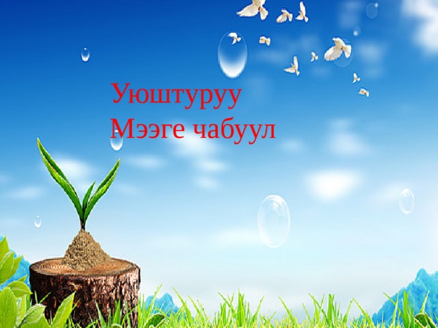 Уюштуруу Мээге чабуул 