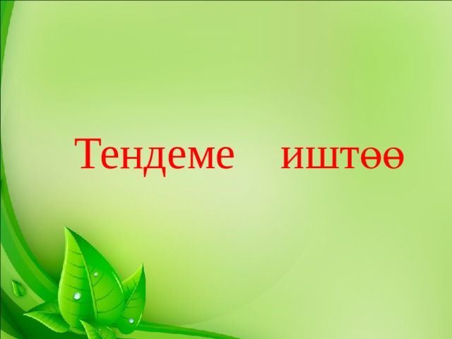Тендеме иштөө 