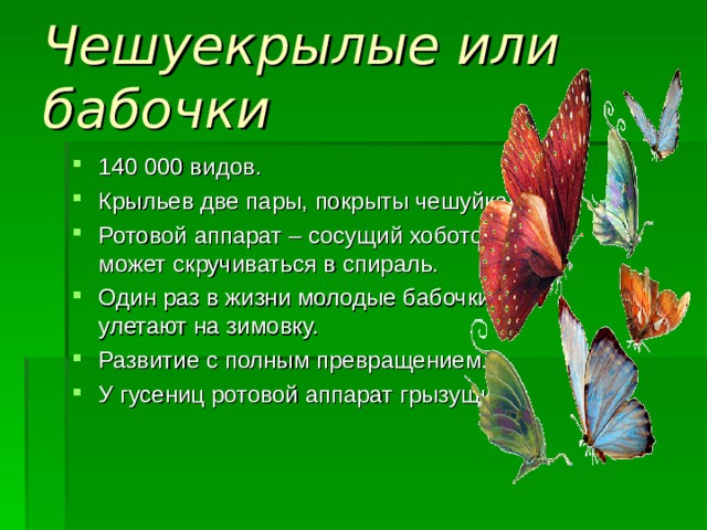Чешуекрылые или бабочки 140 000 видов. Крыльев две пары, покрыты чешуйками. Ротовой аппарат – сосущий хоботок, может скручиваться в спираль. Один раз в жизни молодые бабочки улетают на зимовку. Развитие с полным превращением. У гусениц ротовой аппарат грызущий.   