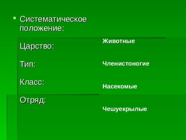 Животные  Членистоногие  Насекомые  Чешуекрылые   