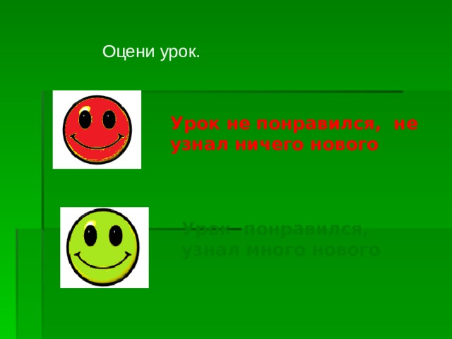 Оцени урок. Урок не понравился, не узнал ничего нового Урок понравился, узнал много нового 