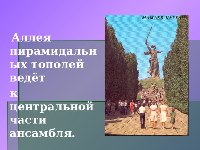  Аллея пирамидальных тополей ведёт  к центральной части ансамбля.  
