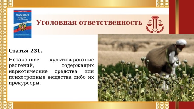 Уголовная ответственность Статья 231.  Незаконное культивирование растений, содержащих наркотические средства или психотропные вещества либо их прекурсоры.