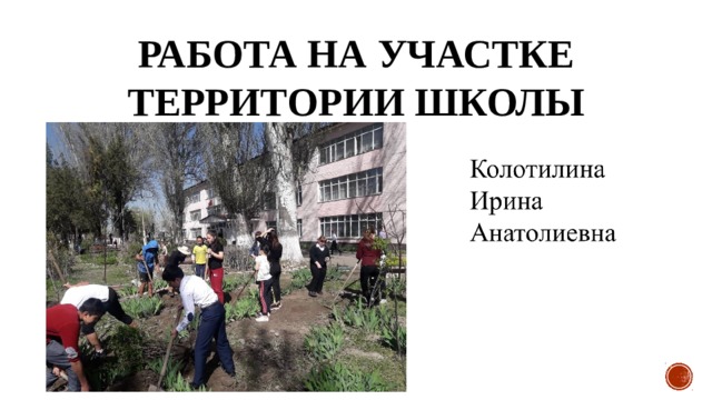 Работа на участке территории школы 