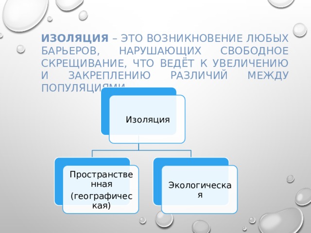 Изоляция – это возникновение любых барьеров, нарушающих свободное скрещивание, что ведёт к увеличению и закреплению различий между популяциями. Изоляция Пространственная (географическая) Экологическая 