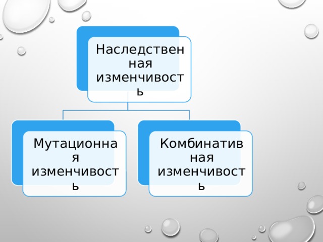 Наследственная изменчивость Мутационная изменчивость Комбинативная изменчивость 