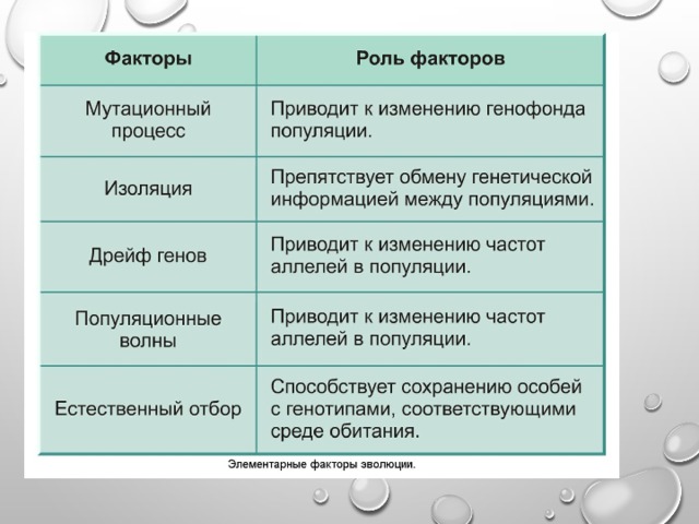 Факторы эволюции Наследственная изменчивость. Популяционные волны ( дрейф генов). Изоляция. 