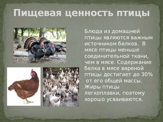 Пищевая ценность птицы Блюда из домашней птицы являются важным источником белков. В мясе птицы меньше соединительной ткани, чем в мясе. Содержание белка в мясе вареной птицы достигает до 30% от его общей массы. Жиры птицы легкоплавки, поэтому хорошо усваиваются. 