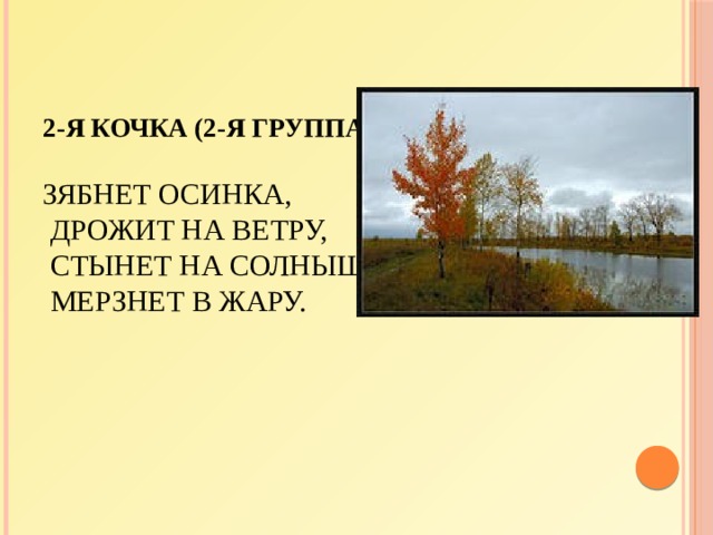  2-я кочка (2-я группа)   Зябнет осинка,  Дрожит на ветру,  Стынет на солнышке,  Мерзнет в жару.      