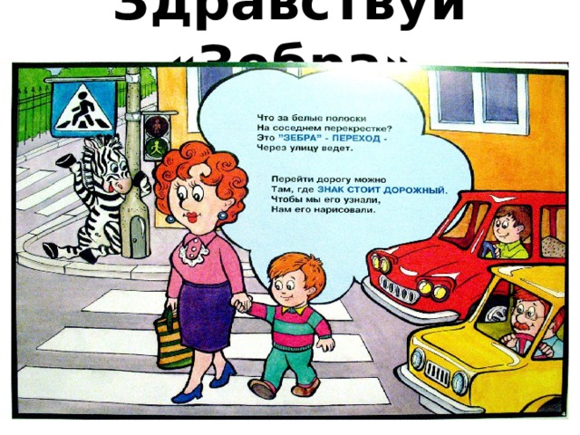 Здравствуй «Зебра» 