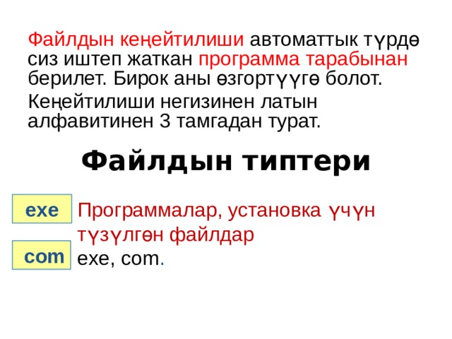 Файлдын кеңейтилиши автоматтык түрдө сиз иштеп жаткан программа тарабынан берилет. Бирок аны өзгортүүгө болот. Кеңейтилиши негизинен латын алфавитинен 3 тамгадан турат.  Файлдын типтери Программалар, установка үчүн түзүлгөн файлдар  exe exe, com .  com 