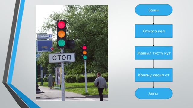 Башы Отмого кел Жашыл тусту кут Кочону кесип от Аягы 
