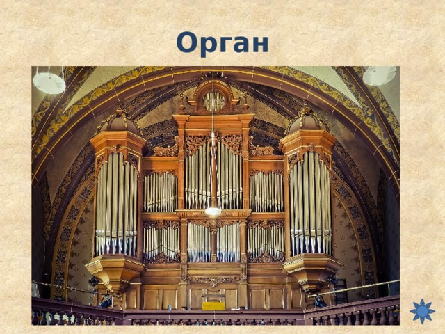 Орган 