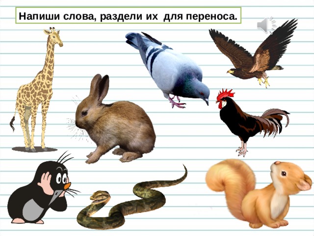 Напиши слова, раздели их для переноса. 
